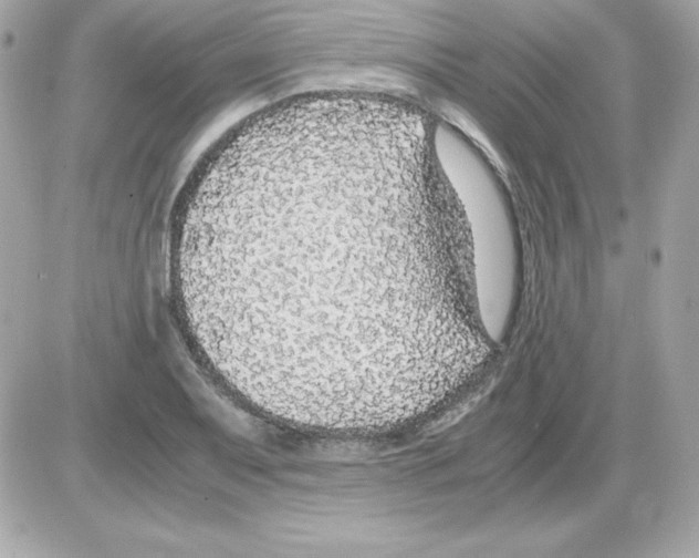 X0000085231079200704091951