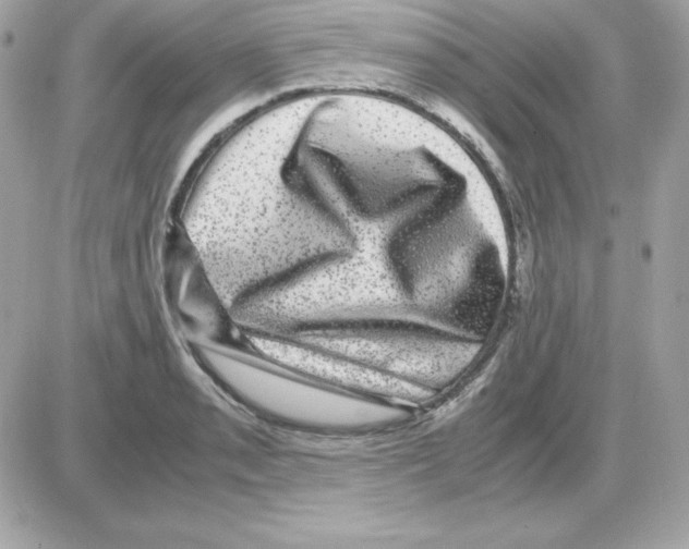 X0000085231085200704091951