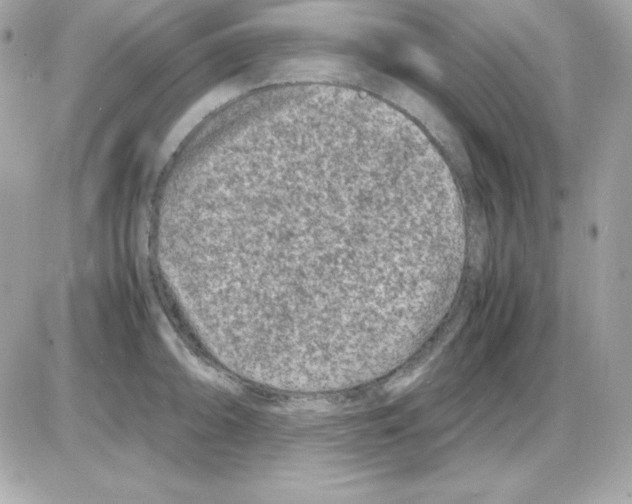X0000085231094200704091951