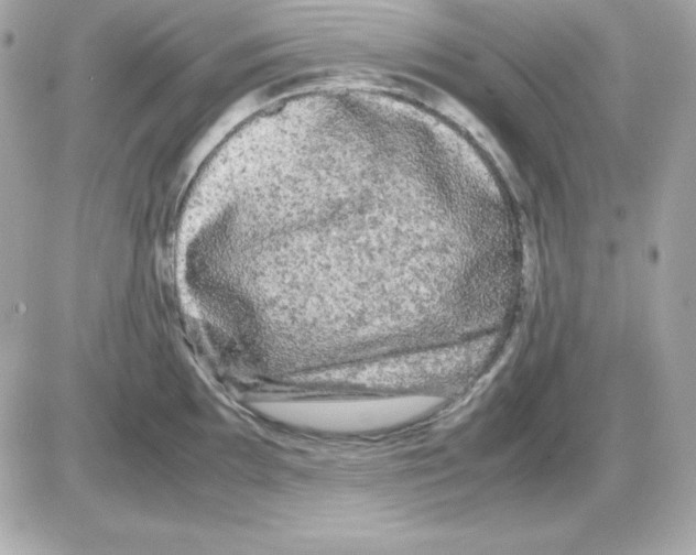 X0000085231097200704091951