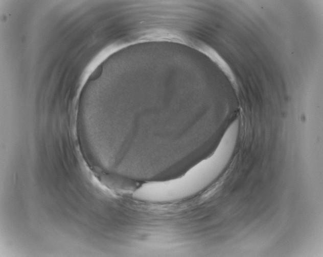 X0000085231102200704091951