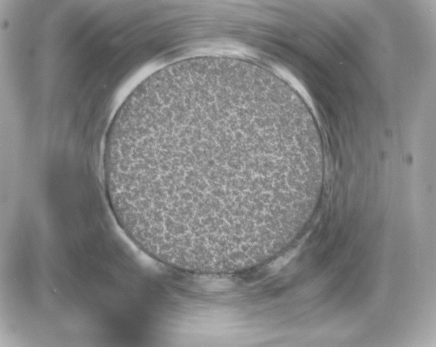 X0000085231103200704091951