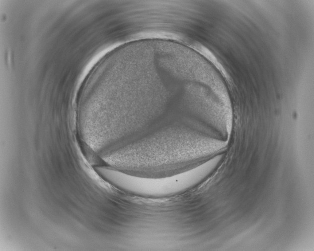 X0000085231140200704091951