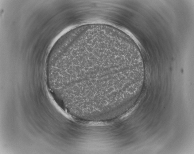 X0000085231142200704091951