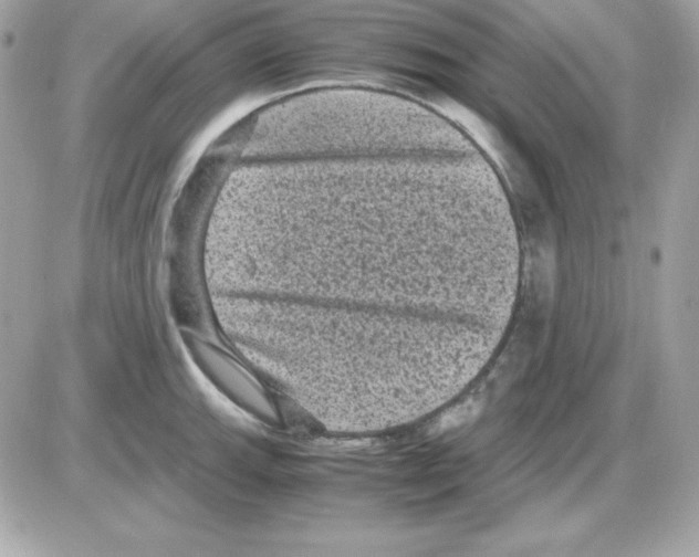 X0000085231143200704091951