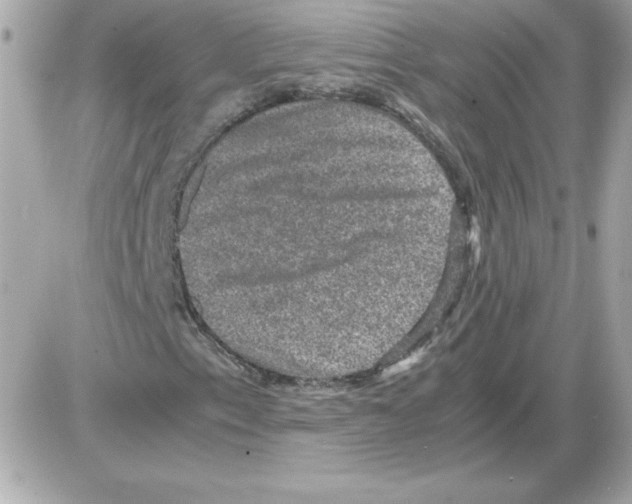 X0000085231153200704091950