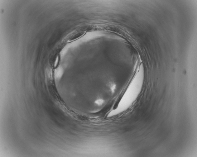 X0000085231155200704091950