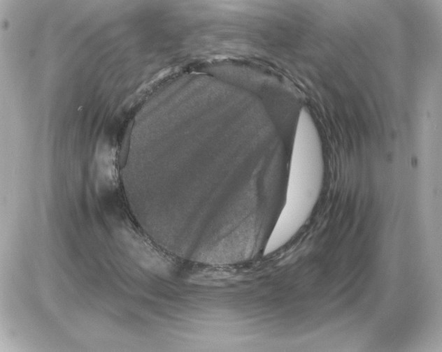 X0000085231156200704091950