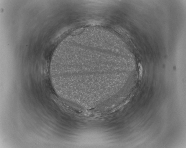 X0000085231158200704091950