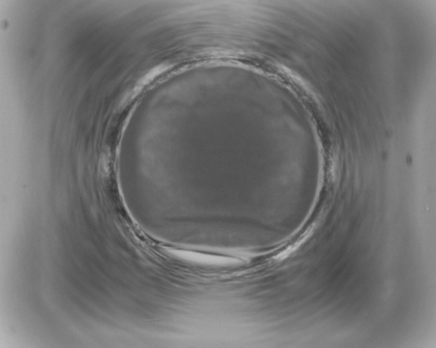 X0000085231161200704091950