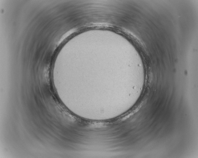 X0000085231162200704091950