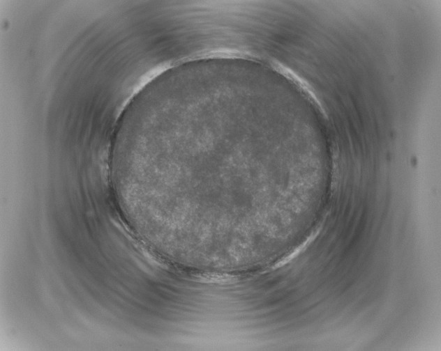 X0000085231170200704091950