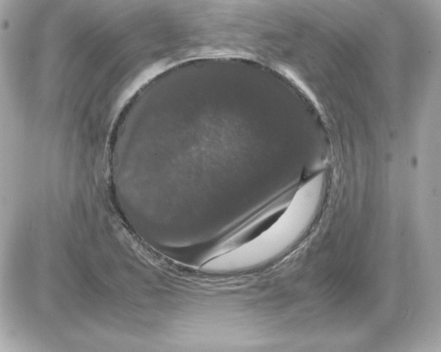 X0000085231173200704091950