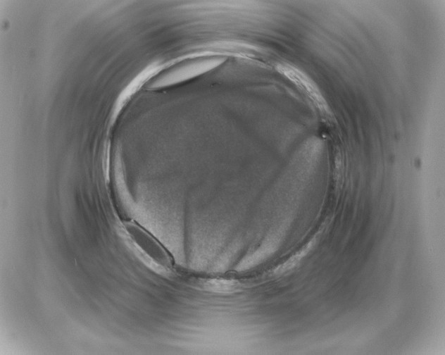 X0000085231180200704091950