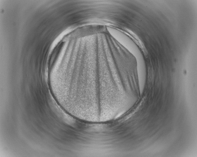 X0000085231188200704091949