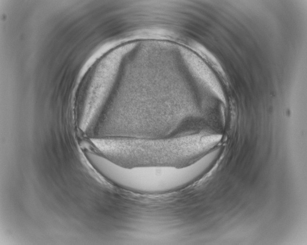 X0000085231192200704091949