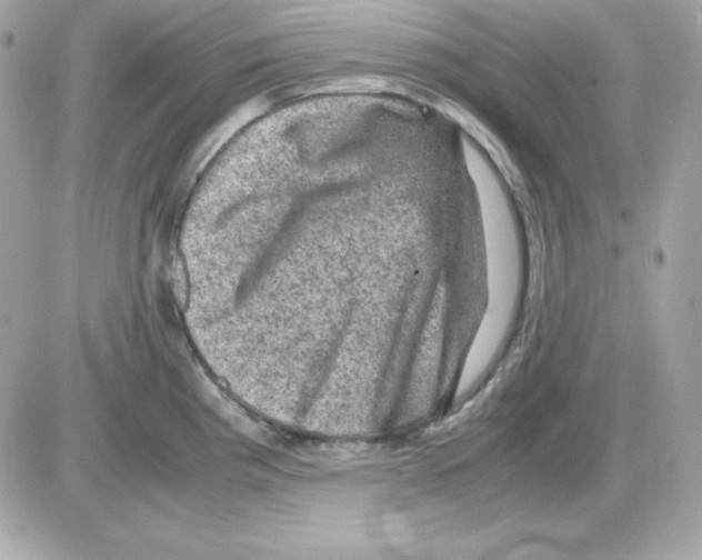 X0000085231193200704091949