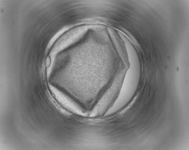 X0000085231196200704091949