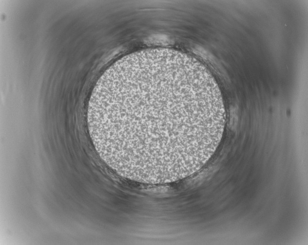 X0000085231201200704091948