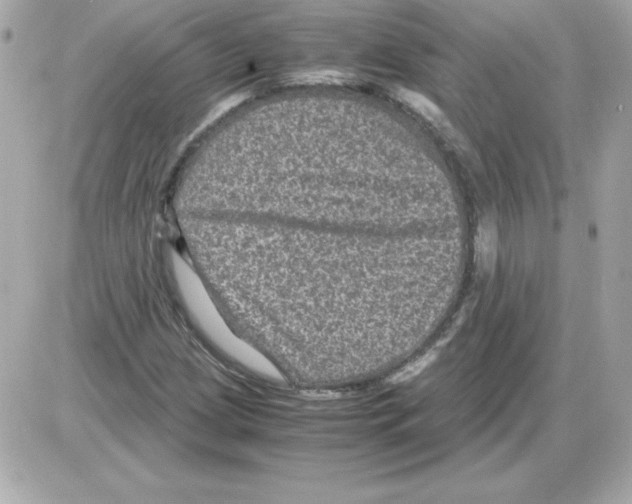 X0000085231209200704091949