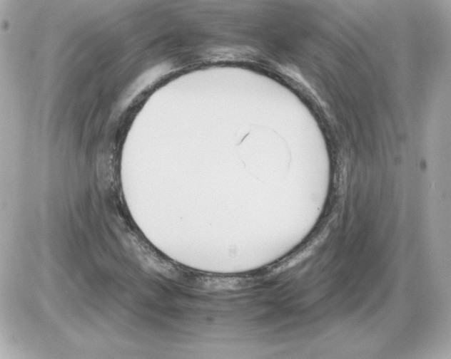 X0000085231211200704091949