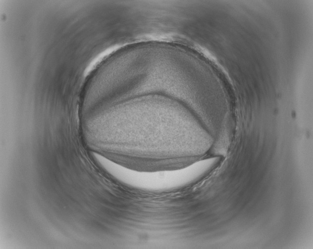 X0000085231214200704091949