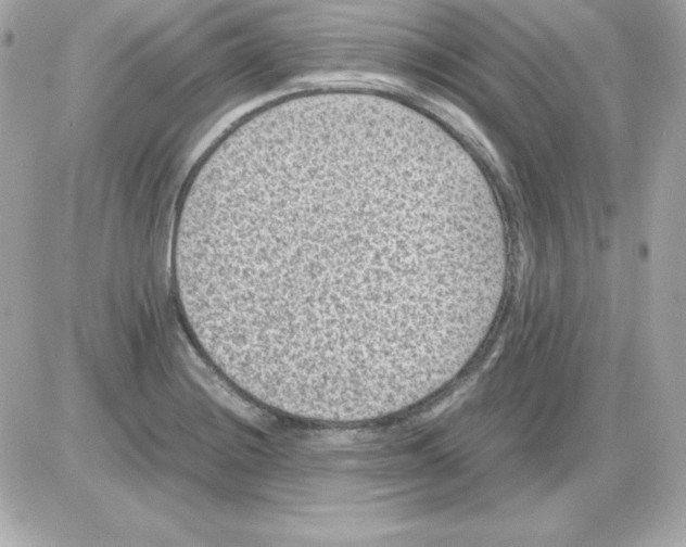 X0000085231228200704091949