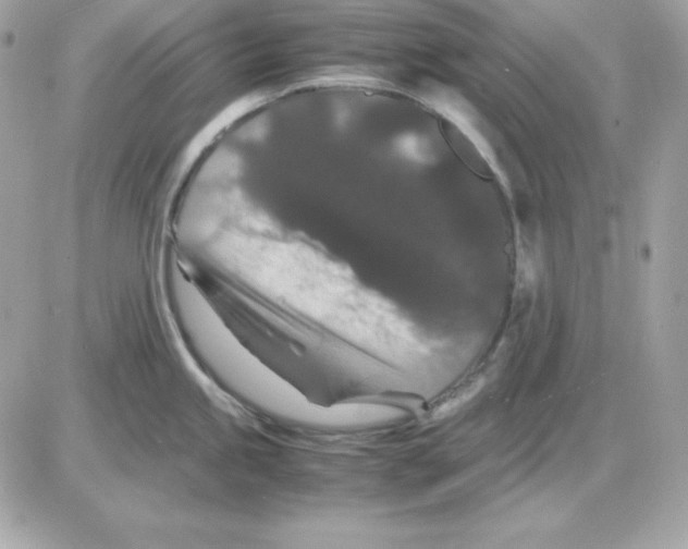 X0000085231245200704091949