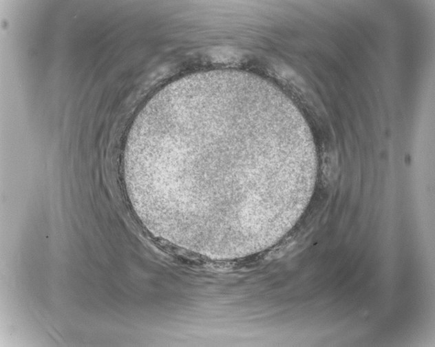 X0000085231249200704091948