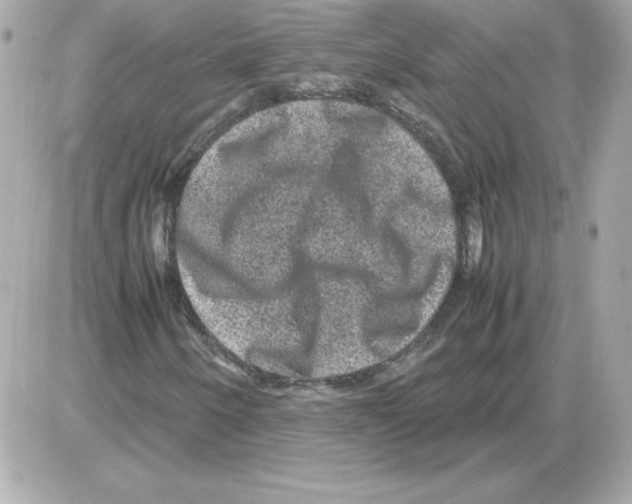 X0000085231250200704091948