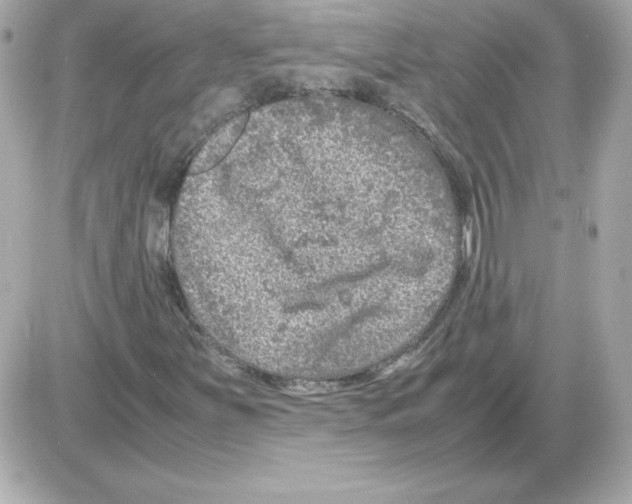 X0000085231251200704091948