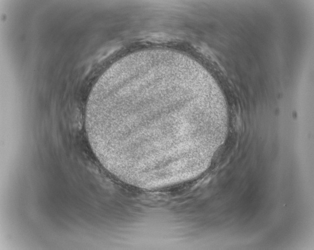 X0000085231253200704091948