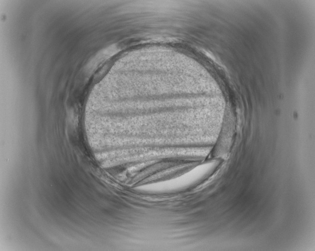 X0000085231257200704091948