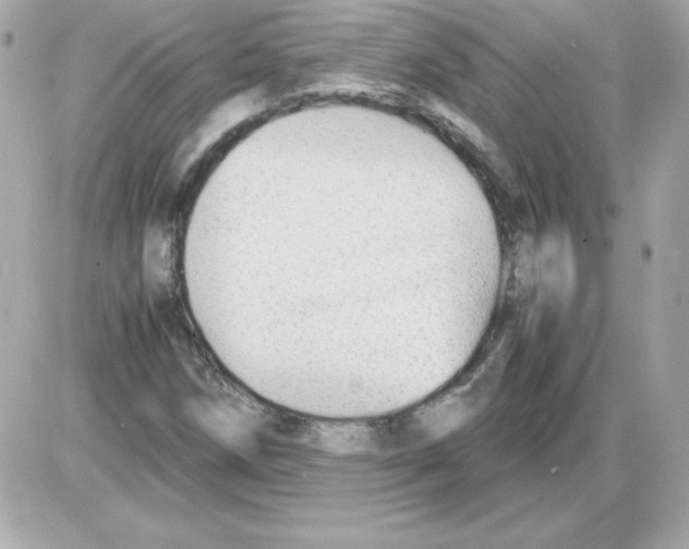 X0000085231258200704091948