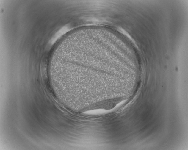 X0000085231259200704091948