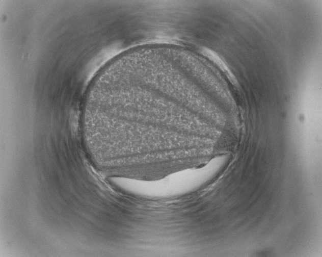 X0000085231260200704091948