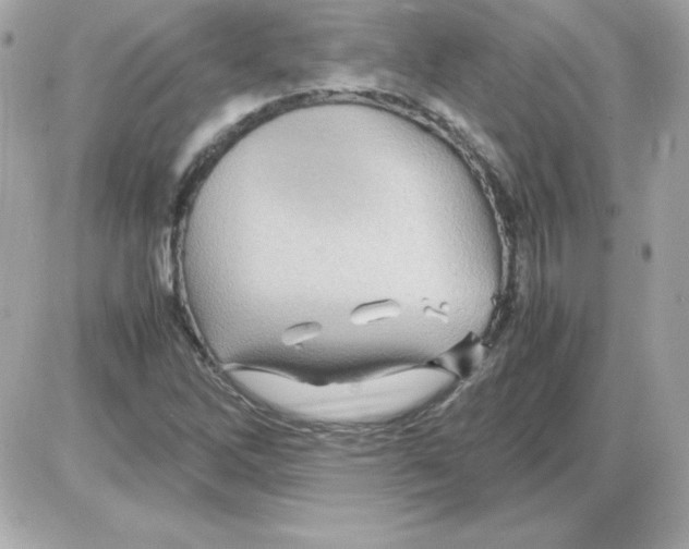 X0000085231262200704091948