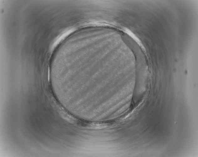 X0000085231269200704091948