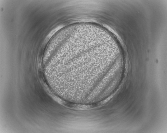 X0000085231273200704091948