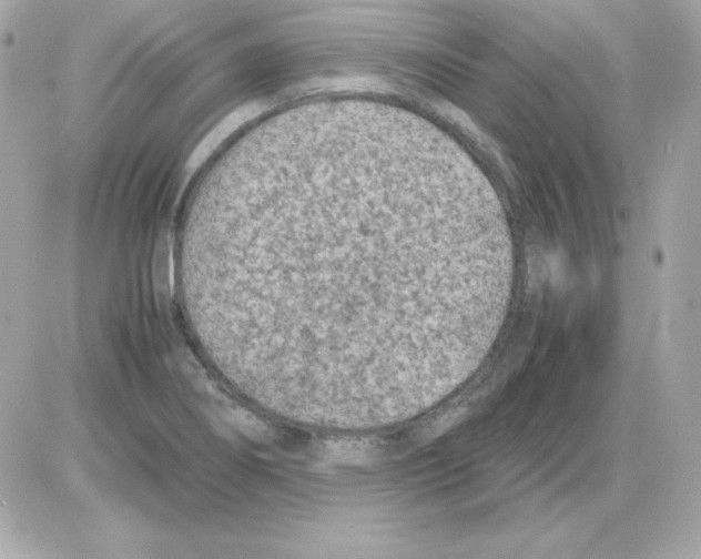 X0000085231274200704091948