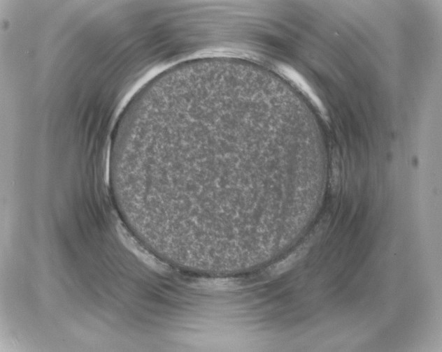 X0000085231276200704091948