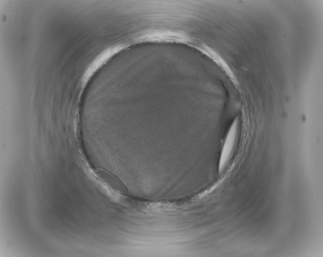 X0000085231277200704091948