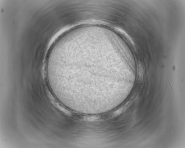 X0000085231278200704091948
