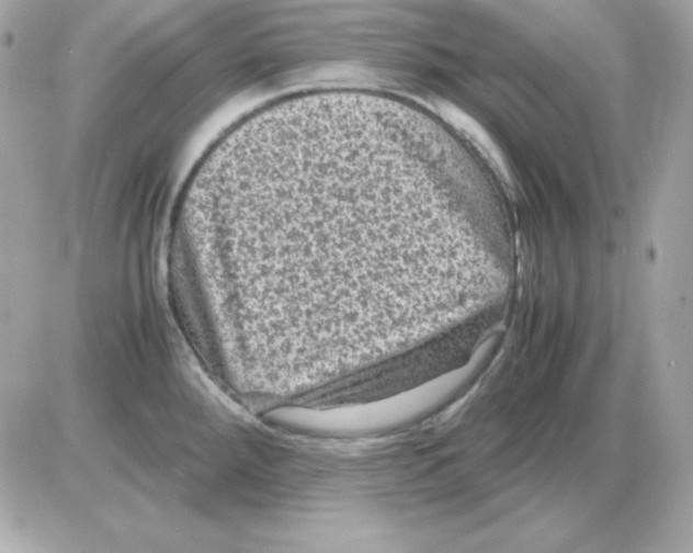 X0000085231288200704091948