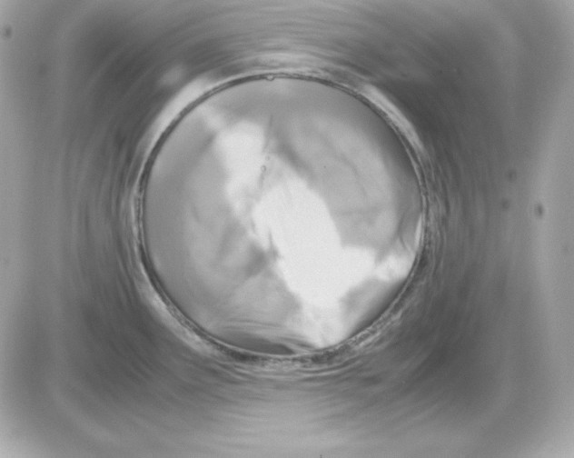 X0000085231291200704091948