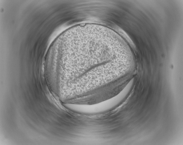 X0000085231292200704091948