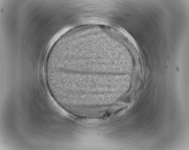 X0000085231293200704091948