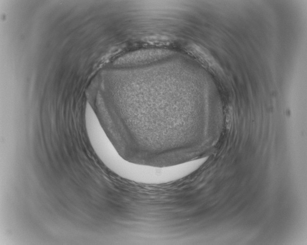 X0000085231298200704091947