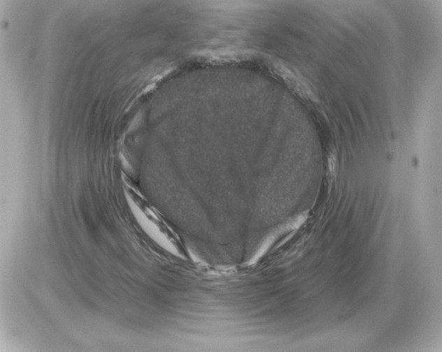 X0000085231300200704091947