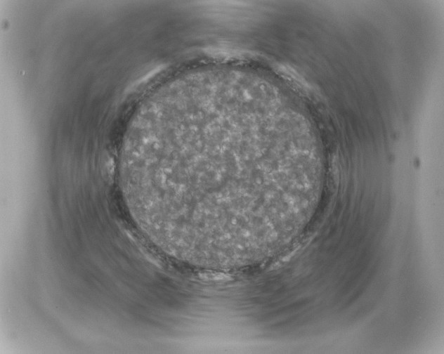 X0000085231302200704091947